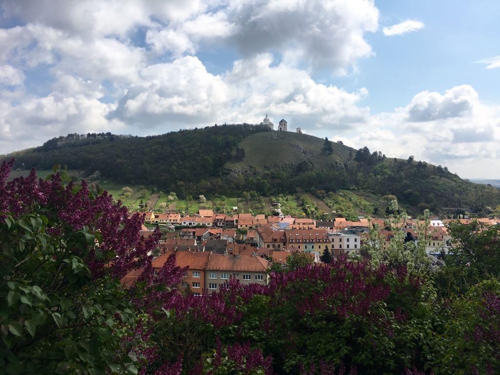 Apartman Havenatura Mikulov Exteriör bild